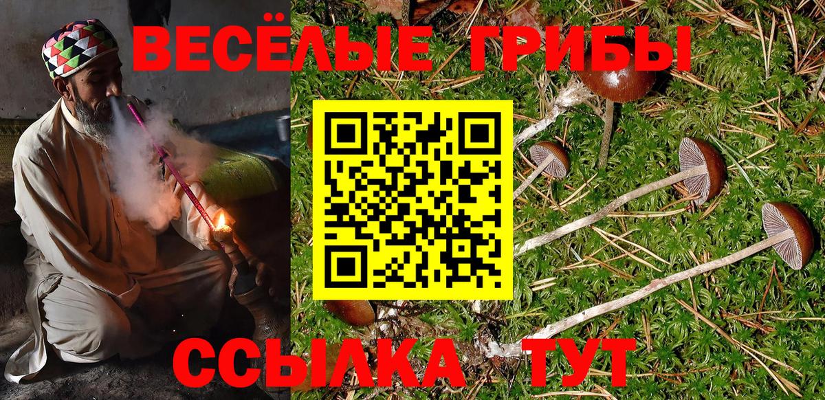 Псилоцибиновые грибы GOLDEN TEACHER  Вход с VPN  Шуя  Галлюциногенные грибы ЛСД 